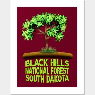 Black Hills National Forest South Dakota Posters and Art